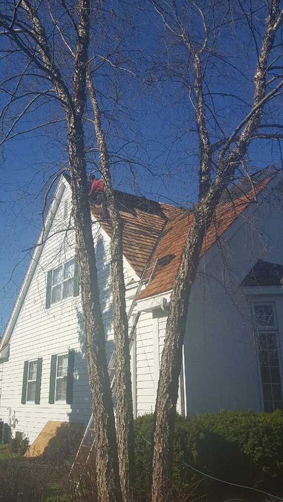 Siding